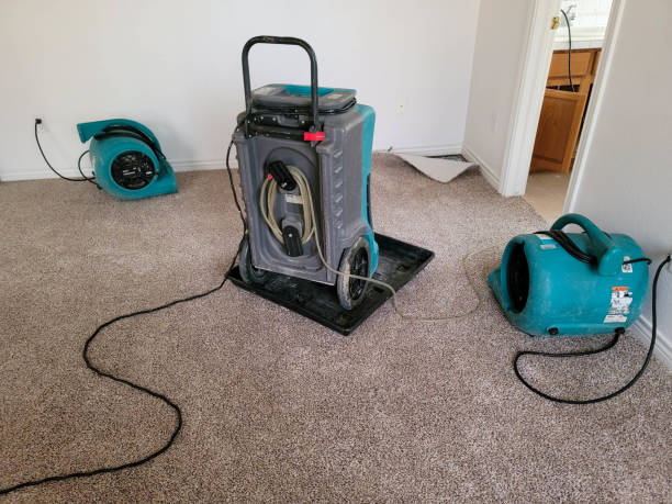 Best Emergency water damage restoration  in Los Alamos, NM