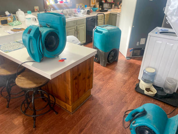 Best Sewage cleanup and water damage restoration  in Los Alamos, NM