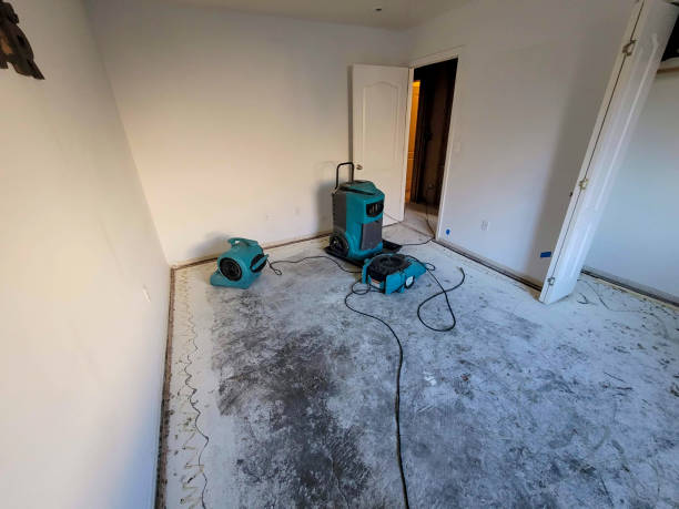 Best Water damage contractors near me  in Los Alamos, NM