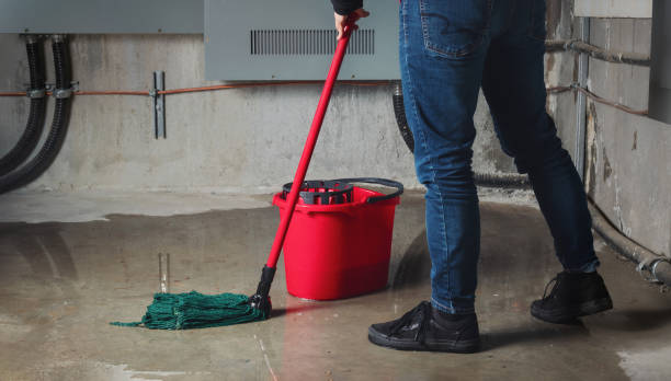 Best Water damage restoration near me  in Los Alamos, NM