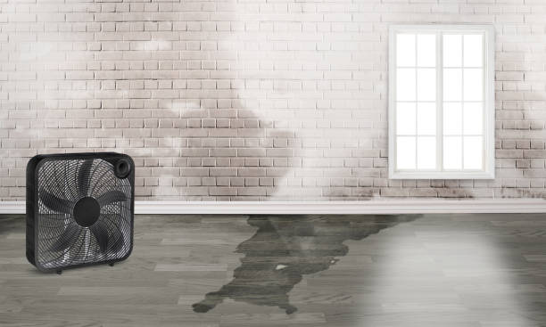 Los Alamos, NM Water damage restoration Pros