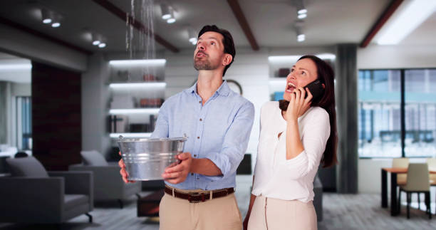 Best Flood damage cleanup  in Los Alamos, NM